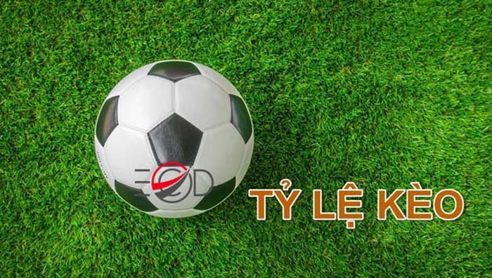 Hướng dẫn cách thức chơi cá cược thể thao kèo Tài xỉu 